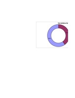 Referāts 'Mārketinga un reklāmas nozīme tūrismā. Aptaujas rezultāti', 25.