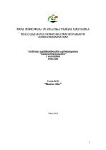 Biznesa plāns 'Brikešu ražošana', 1.