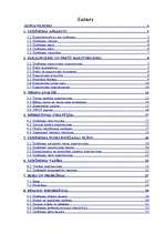 Biznesa plāns 'Biznesa plāns', 2.