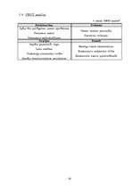 Biznesa plāns 'Biznesa plāns', 16.