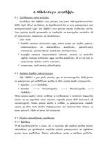 Biznesa plāns 'Biznesa plāns', 17.