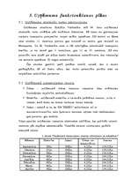 Biznesa plāns 'Biznesa plāns', 20.