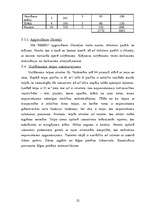 Biznesa plāns 'Biznesa plāns', 22.