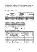 Biznesa plāns 'Biznesa plāns', 30.