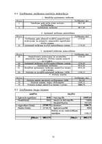 Biznesa plāns 'Biznesa plāns', 32.