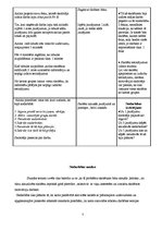 Konspekts 'Integrētās nodarbības konspekts', 7.