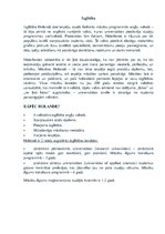 Konspekts 'Izglītība Holandē', 1.