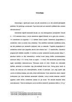 Referāts 'Zemestrīces', 6.