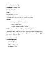 Konspekts 'Tamborēta pīnīte', 1.