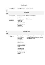 Konspekts 'Tamborēta pīnīte', 2.