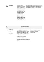 Konspekts 'Tamborēta pīnīte', 3.