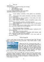 Referāts 'Transporta sistēmas analīze', 12.