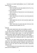 Referāts 'Z/S “Ķelmēni” darbības analīze', 11.