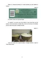 Referāts 'Z/S “Ķelmēni” darbības analīze', 12.