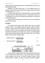 Referāts 'Mazumtirdzniecība specializētajos veikalos', 13.