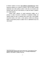 Konspekts 'Starptautiskā tirgus izvēle un stratēģijas iekļūšanai starptautiskajā tirgū', 5.