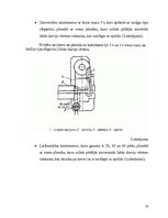 Referāts 'Konteineri', 15.