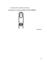 Referāts 'Konteineri', 19.