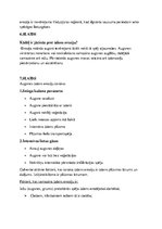 Prezentācija 'Ūdens erozija', 11.