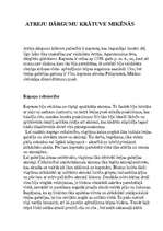 Referāts 'Grieķu arhitektūra', 6.