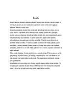 Referāts 'Rotaļas nozīme bērna attīstībā', 2.