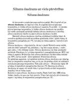 Referāts 'Siltums', 11.