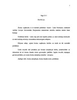 Referāts 'Ārzonas uzņēmumu darbība un ar to saistītās problēmas', 2.