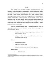 Referāts 'Ārzonas uzņēmumu darbība un ar to saistītās problēmas', 5.