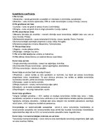 Konspekts 'Konstitucionālisms un konstitūcijas', 7.