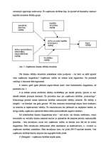 Referāts 'Finanšu un SVID/SWOT analīze', 9.
