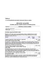 Referāts 'Finanšu un SVID/SWOT analīze', 30.