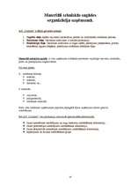 Prakses atskaite 'Parfimērijas un biokosmētikas ražošanas uzņēmums "Dzintars"', 14.