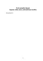 Prakses atskaite 'Parfimērijas un biokosmētikas ražošanas uzņēmums "Dzintars"', 21.