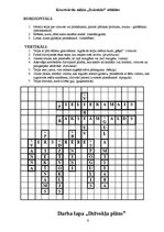 Konspekts 'Latviešu valoda un literatūra. Dzīvokļa plāns', 6.