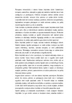 Eseja 'Dzīve lielpilsētā: Iespējas, izaicinājumi un sociālā dinamika', 2.