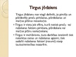 Prezentācija 'Tirgus jēdziens, formas un tipi', 4.