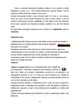 Referāts 'Maksājumu karšu attīstības tendences Latvijā', 10.