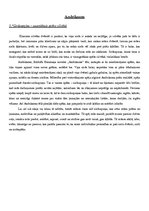 Eseja 'Pārdomas par R.Blaumaņa novelēm - "Salna pavasarī", "Purva bridējs", "Raudupiete', 4.