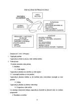 Referāts 'ISO 14000 standarta struktūra', 13.