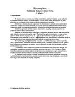 Biznesa plāns 'Saldumu tirdzniecības vieta "Lāčuks"', 1.