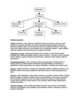 Biznesa plāns 'Saldumu tirdzniecības vieta "Lāčuks"', 3.