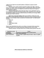 Biznesa plāns 'Saldumu tirdzniecības vieta "Lāčuks"', 6.