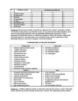 Biznesa plāns 'Saldumu tirdzniecības vieta "Lāčuks"', 9.