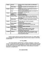 Biznesa plāns 'Saldumu tirdzniecības vieta "Lāčuks"', 11.