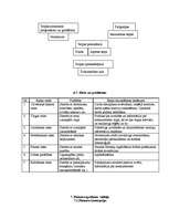 Biznesa plāns 'Saldumu tirdzniecības vieta "Lāčuks"', 12.