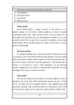 Diplomdarbs 'Klientu lojalitāte mobilo sakaru tirgū Latvijā', 14.