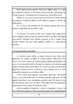 Diplomdarbs 'Klientu lojalitāte mobilo sakaru tirgū Latvijā', 36.