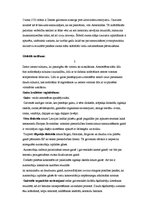 Referāts 'Ekoloģiskās problēmas mūsu dzīvē', 5.