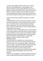 Referāts 'Ekoloģiskās problēmas mūsu dzīvē', 15.