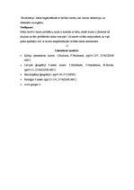 Referāts 'Ekoloģiskās problēmas mūsu dzīvē', 18.